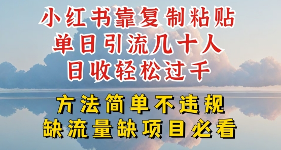 小红书靠复制粘贴单日引流几十人目收轻松过千，方法简单不违规【揭秘】-金融资料分享