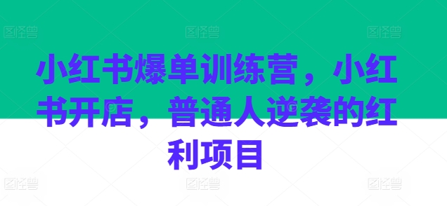 小红书爆单训练营，小红书开店，普通人逆袭的红利项目-金融资料分享