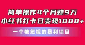 简单操作4个月赚9w,小红书打卡日变现1k,一个被忽视的暴力项目【揭秘】-金融资料分享