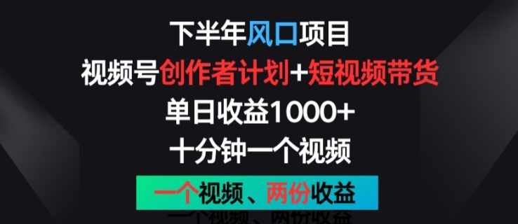 下半年风口项目，视频号创作者计划+视频带货，一个视频两份收益，十分钟一个视频【揭秘】-金融资料分享