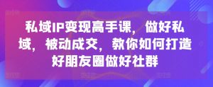 私域IP变现高手课，做好私域，被动成交，教你如何打造好朋友圈做好社群-金融资料分享