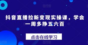 抖音直播拉新变现实操课,学会一周多挣五六百-金融资料分享