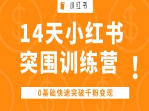 14天小红书突围训练营 ,0基础快速突破千粉变现-金融资料分享