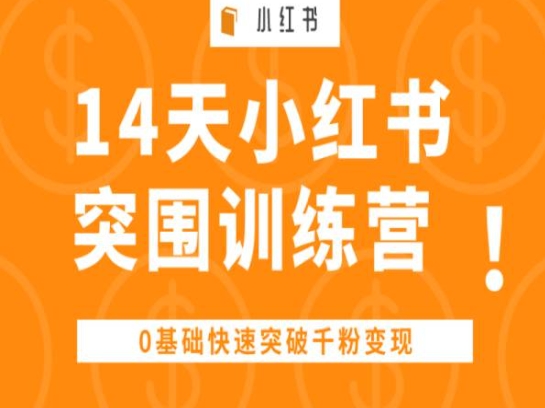 14天小红书突围训练营 ,0基础快速突破千粉变现-金融资料分享