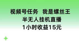 视频号任务，我是螺丝王， 半无人挂机1小时收益15元【揭秘】-金融资料分享