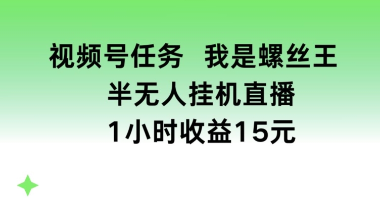 视频号任务，我是螺丝王， 半无人挂机1小时收益15元【揭秘】-金融资料分享