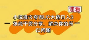 小说推文夸克UC大佬日入3张纯干货分享,解决你的所以问题-金融资料分享