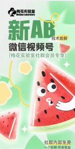 梅花实验室2024年AB技术视频号AB合成破解版-金融资料分享