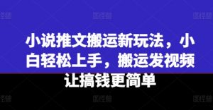 小说推文搬运新玩法，小白轻松上手，搬运发视频让搞钱更简单-金融资料分享