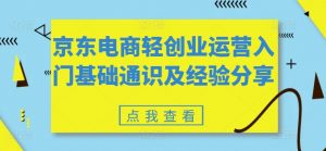 京东电商轻创业运营入门基础通识及经验分享-金融资料分享