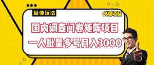 国内调查问卷矩阵项目，一人批量多号月入3000【揭秘】-金融资料分享