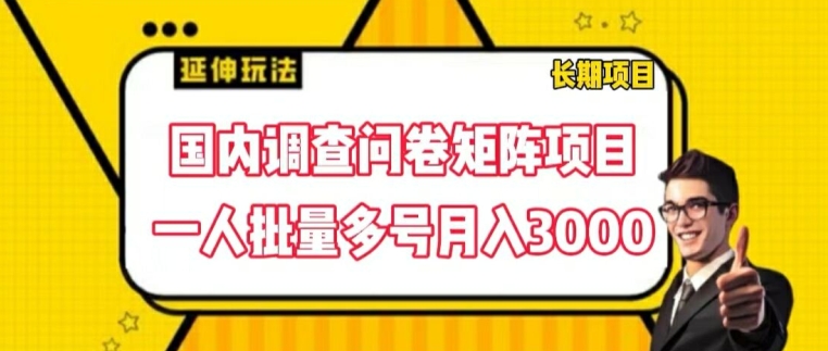国内调查问卷矩阵项目，一人批量多号月入3000【揭秘】-金融资料分享