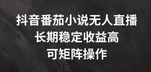 抖音番茄小说无人直播,长期稳定收益高,可矩阵操作【揭秘】-金融资料分享