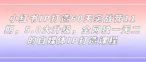 小红书IP打造60天实战营11期,5.0大升级,全网独一无二的自媒体IP打造课程-金融资料分享