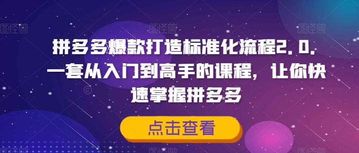 拼多多爆款打造标准化流程2.0，一套从入门到高手的课程，让你快速掌握拼多多-金融资料分享