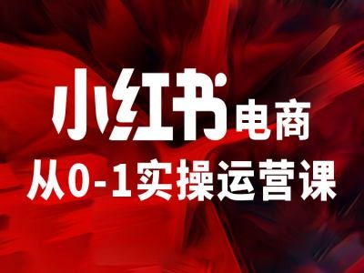 小红书电商从0-1实操运营课，让你从小白到精英-金融资料分享