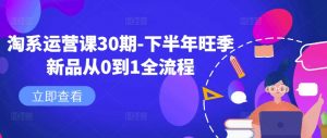 淘系运营课30期-下半年旺季新品从0到1全流程-金融资料分享