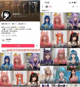 云天二次元美女起号教学，月涨10万粉丝，不判搬运-金融资料分享