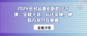 2024多多运营必听的12节课,全程干货,玩法实操,爆款方案尽在掌握-金融资料分享