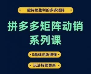 拼多多矩阵动销系列课，能持续盈利的多多矩阵，0基础也听得懂，玩法持续更新-金融资料分享