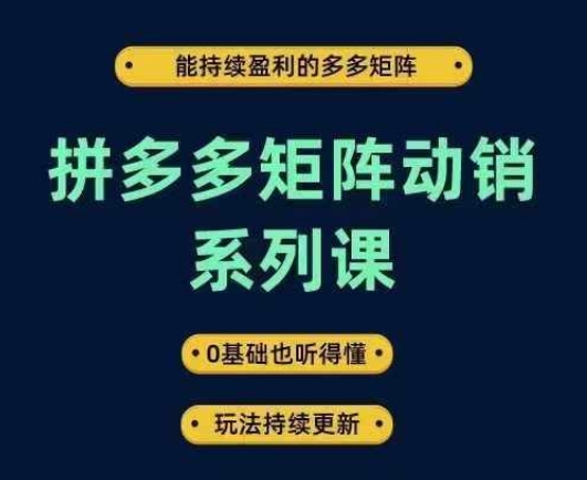 拼多多矩阵动销系列课，能持续盈利的多多矩阵，0基础也听得懂，玩法持续更新-金融资料分享