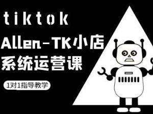TK小店系统运营课-tiktok跨境电商教程-金融资料分享