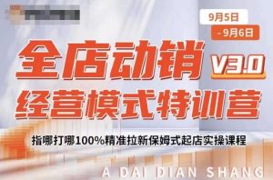 全店动销经营模式特训营,指哪打哪100%精准拉新保姆式起店实操课程-金融资料分享