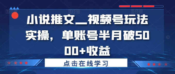 小说推文—视频号玩法实操，单账号半月破5000+收益-金融资料分享