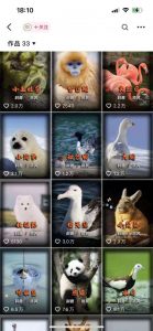 动物科普解说项目，撸创作者伙伴计划收益，保姆级实战教程-金融资料分享