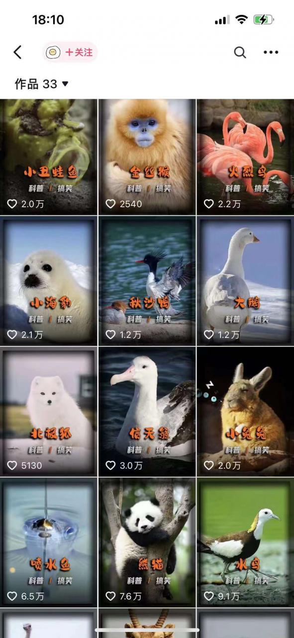 动物科普解说项目,撸创作者伙伴计划收益,保姆级实战教程-金融资料分享