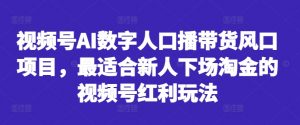 视频号AI数字人口播带货风口项目，最适合新人下场淘金的视频号红利玩法-金融资料分享