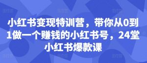 小红书变现特训营,带你从0到1做一个赚钱的小红书号,24堂小红书爆款课-金融资料分享