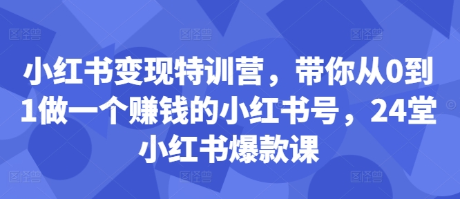 小红书变现特训营,带你从0到1做一个赚钱的小红书号,24堂小红书爆款课-金融资料分享
