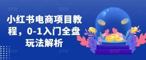 小红书电商项目教程，0-1入门全盘玩法解析-金融资料分享