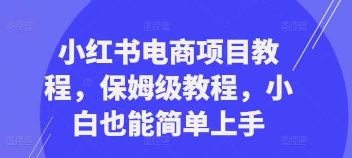 小红书电商项目教程,保姆级教程,小白也能简单上手-金融资料分享