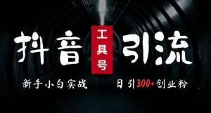2024最新抖音工具号引流玩法,高效日引300+创业粉,当天变现5k,小白也可成为实战高手-金融资料分享