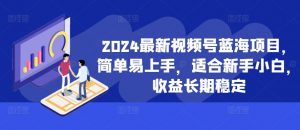 2024最新视频号蓝海项目，简单易上手，适合新手小白，收益长期稳定-金融资料分享