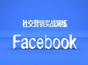 Facebook社交营销实战演练，外贸人绝对不能错过的营销推广平台-金融资料分享