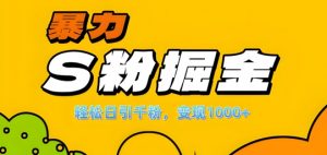 单人单机日引千粉，变现1k+，S粉流量掘金计划攻略【揭秘】-金融资料分享