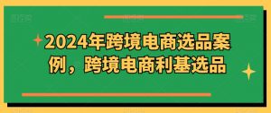 2024年跨境电商选品案例,跨境电商利基选品(更新11月)-金融资料分享