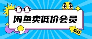 外面收费998的闲鱼低价充值会员搬砖玩法号称日入200+-金融资料分享
