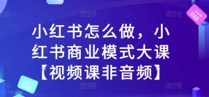 小红书怎么做，小红书商业模式大课【视频课非音频】-金融资料分享