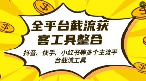 全平台截流获客工县整合全自动引流,日引2000+精准客户【揭秘】-金融资料分享