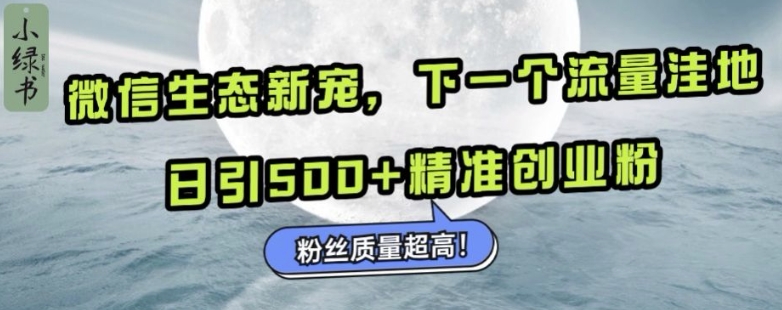微信生态新宠小绿书:下一个流量洼地,日引500+精准创业粉,粉丝质量超高-金融资料分享