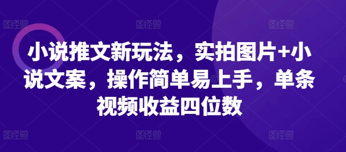 小说推文新玩法,实拍图片+小说文案,操作简单易上手,单条视频收益四位数-金融资料分享