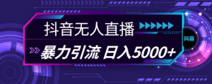 抖音快手视频号全平台通用无人直播引流法,利用图片模板和语音话术,暴力日引流100+创业粉【揭秘】-金融资料分享