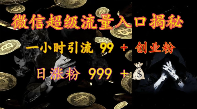 微信超级流量入口揭秘:一小时引流 99 + 创业粉,日涨粉 999 +-金融资料分享