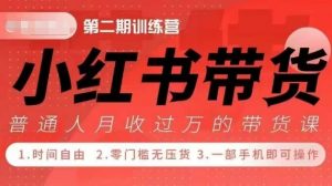 小Red书带货42天训练营 2.0版，宝妈+自由职+上班族+大学生，提高副业收入的大红利项目-金融资料分享
