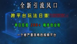 全新引流风口，跨平台玩法日入上k，单日狂揽200+精准创业粉，一个被严重忽略的视频平台-金融资料分享