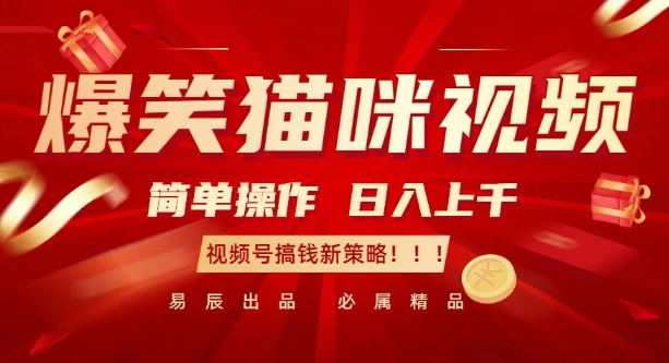 爆笑猫咪视频:简单操作,日入过K,视频号搞钱新策略【揭秘】-金融资料分享